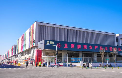 山東蘭陵蔬菜將規(guī)?；M京